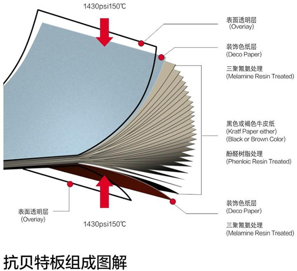 柠檬视频APP污版下载抗倍特板组成图解